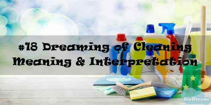 #18 Dreaming of Cleaning - Meaning & Interpretation