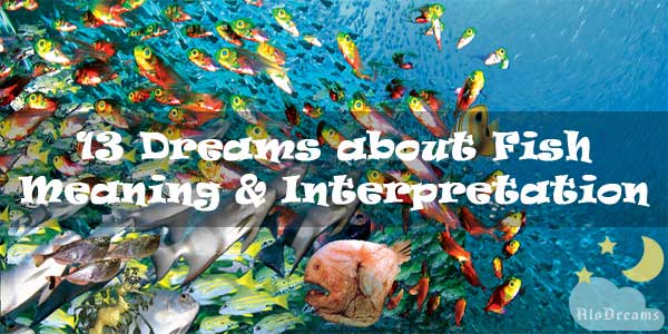 13 Dreams about Fish : Meaning & Interpretation
