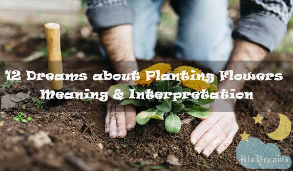 12-dreams-about-planting-flowers-meaning-interpretation