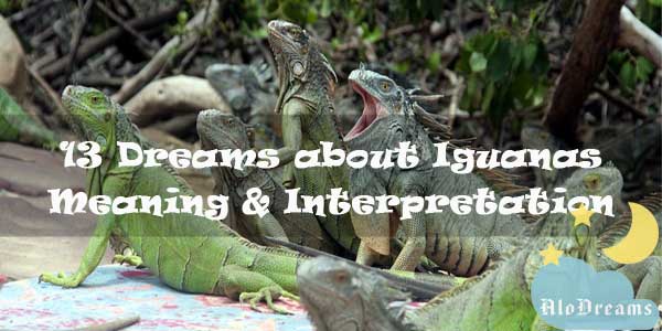 13 Dreams about Iguanas : Meaning & Interpretation