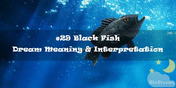 29 Black Fish Dream Meaning Interpretation