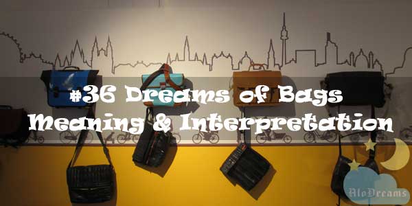 #36 Dreams of Bags : Meaning & Interpretation