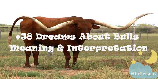 #38 Dreams About Bulls : Meaning & Interpretation