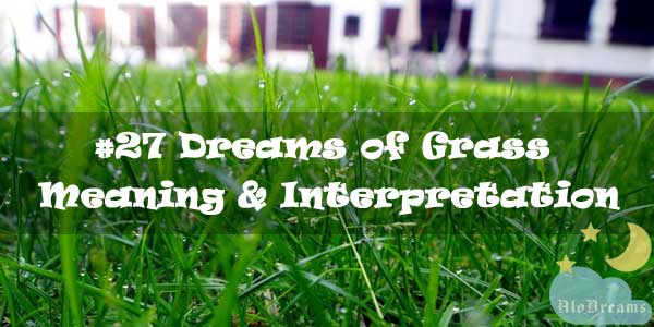#27 Dreams of Grass - Meaning & Interpretation