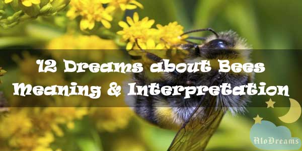 what is the significance of bees in dreams
