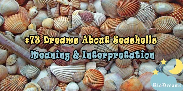 Dreaming Of Sea Shells Meaning