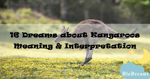 16 Dreams about Kangaroos , Meaning & Interpretation