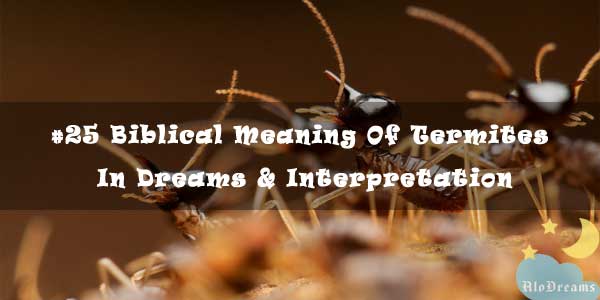  25 Biblical Meaning Of Termites In Dreams Interpretation