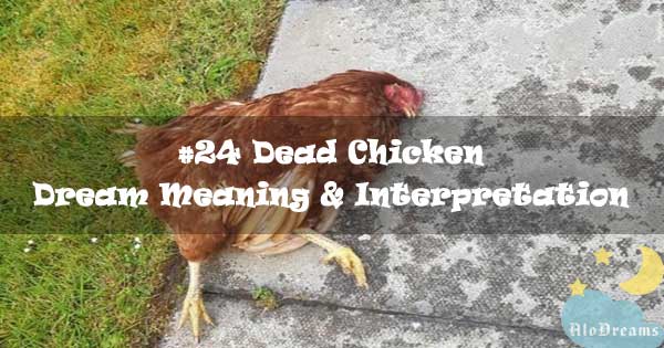 24-dead-chicken-dream-meaning-interpretation