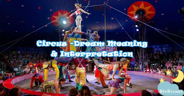 #65 Circus - Dream Meaning & Interpretation