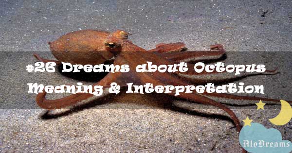 #26 Dreams about Octopus : Meaning & Interpretation