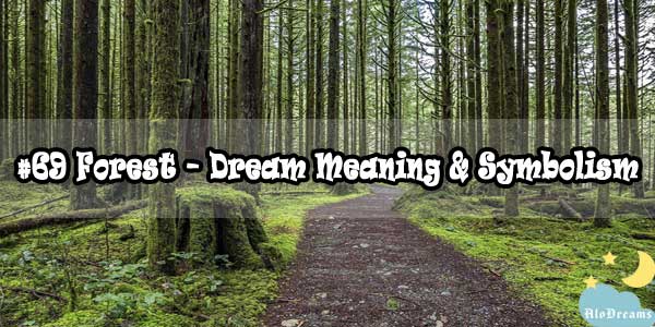 69-forest-dream-meaning-symbolism