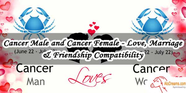 85 Cancer Male And Cancer Female Love Marriage Friendship Compatibility