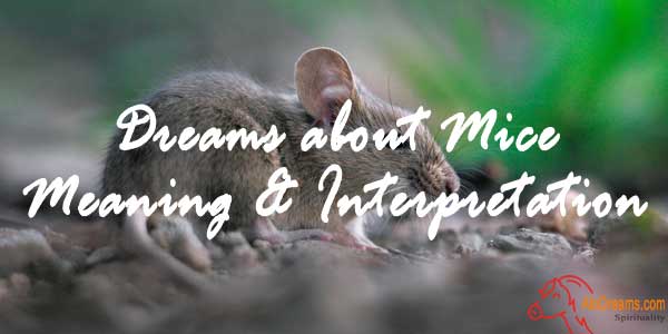 #54 Dreams about Mice : Meaning & Interpretation