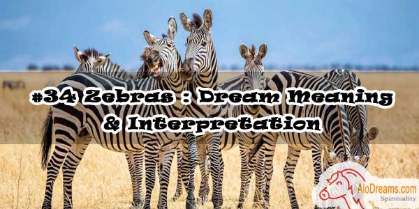 #34 Zebras : Dream Meaning & Interpretation