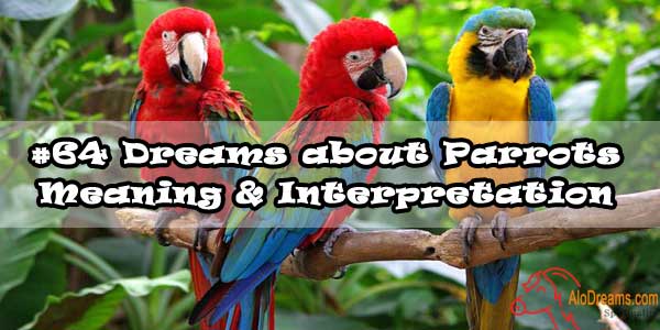 #64 Dreams about Parrots : Meaning & Interpretation