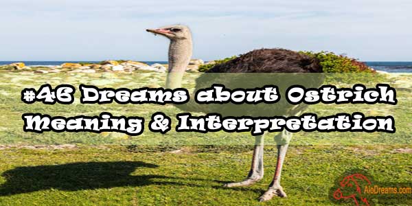 #46 Dreams about Ostrich : Meaning & Interpretation