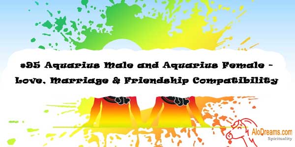 #95 Aquarius Male and Aquarius Female - Love, Marriage & Friendship Compatibility