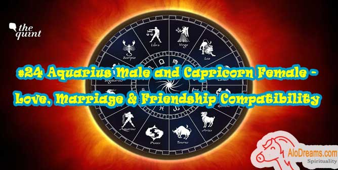 #24 Aquarius Male and Capricorn Female - Love, Marriage & Friendship Compatibility