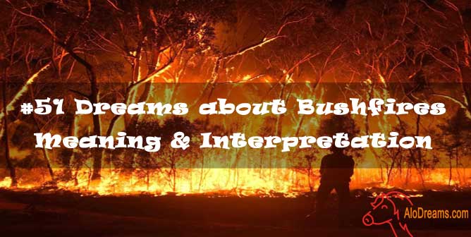 #51 Dreams about Bushfires - Meaning & Interpretation