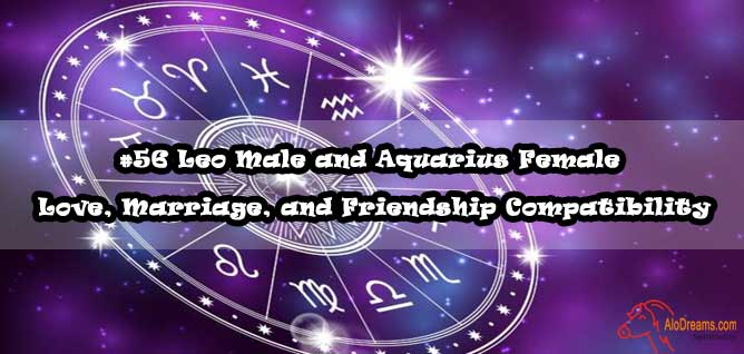 #56 Leo Male and Aquarius Female – Love, Marriage, and Friendship Compatibility