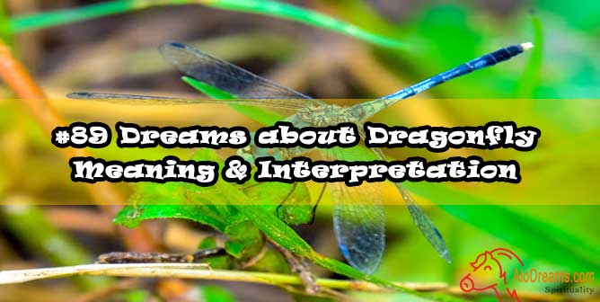 89-dreams-about-dragonfly-meaning-interpretation