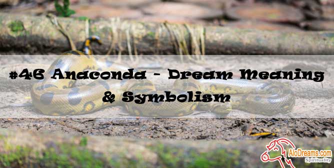 #46 Anaconda - Dream Meaning & Symbolism