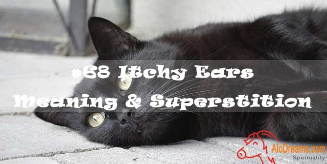#68 Itchy Ears - Meaning & Superstition