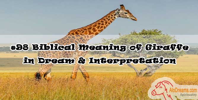 #98 Biblical Meaning of Giraffe in Dream & Interpretation