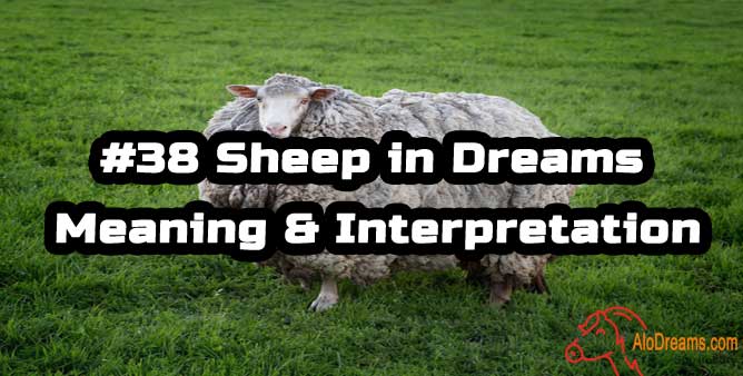 #38 Sheep in Dreams - Meaning & Interpretation