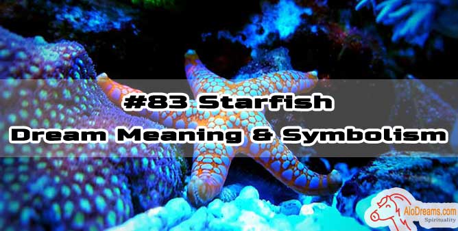 #83 Starfish - Dream Meaning & Symbolism