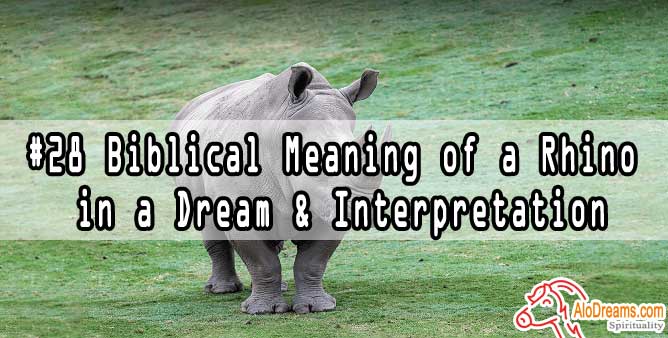 rhinoceros meaning