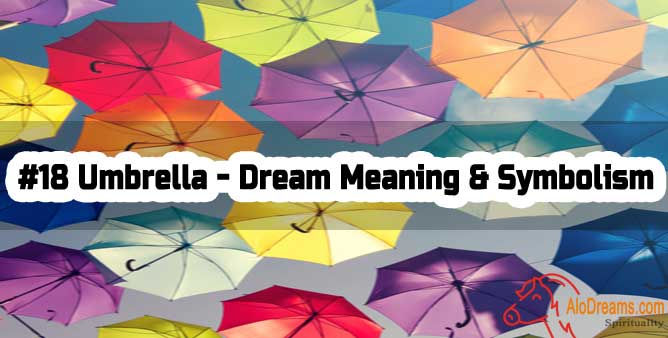 #18 Umbrella - Dream Meaning & Symbolism