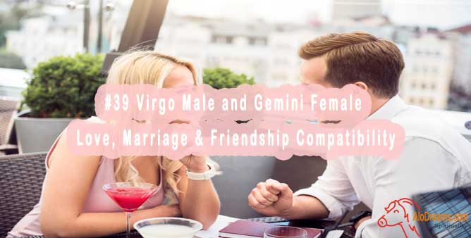 #39 Virgo Male and Gemini Female - Love, Marriage & Friendship Compatibility