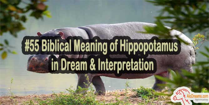 #55 Biblical Meaning of Hippopotamus in Dream & Interpretation