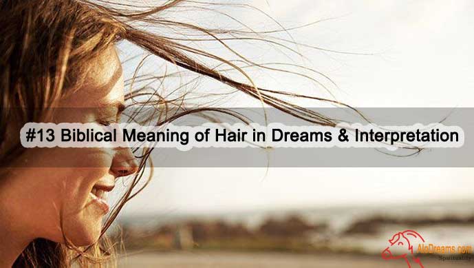 43-biblical-meaning-of-losing-hair-in-a-dream-ajiriahnaish