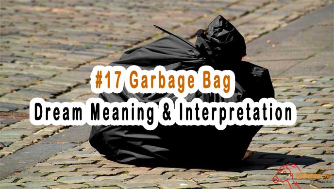 #17 Garbage Bag - Dream Meaning & Interpretation