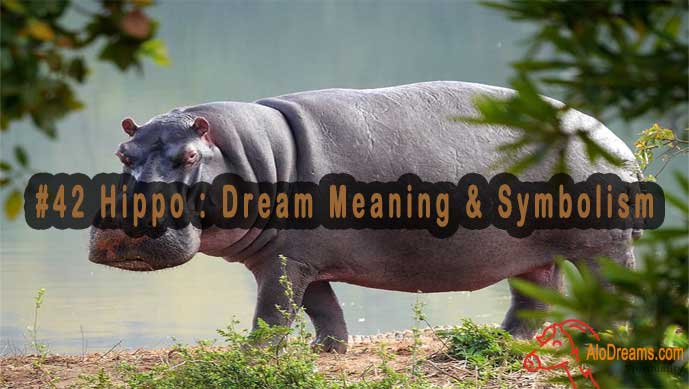 42-hippo-dream-meaning-symbolism