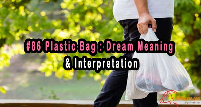 86-plastic-bag-dream-meaning-interpretation