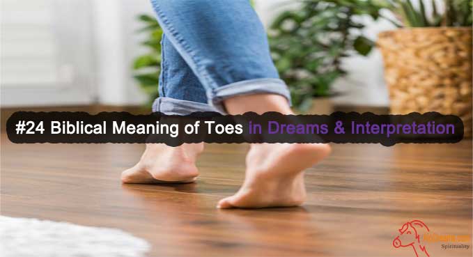 24 Biblical Meaning Of Toes In Dreams & Interpretation