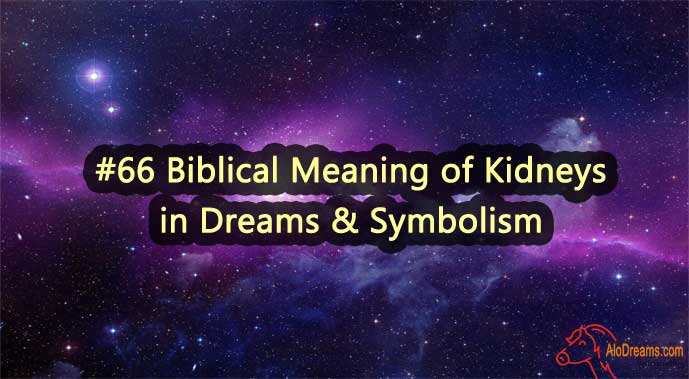 #66 Biblical Meaning of Kidneys in Dreams & Symbolism