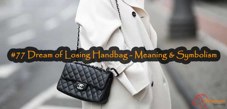 77-dream-of-losing-handbag-meaning-symbolism