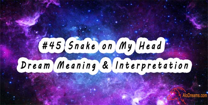 #45 Snake on My Head - Dream Meaning & Interpretation