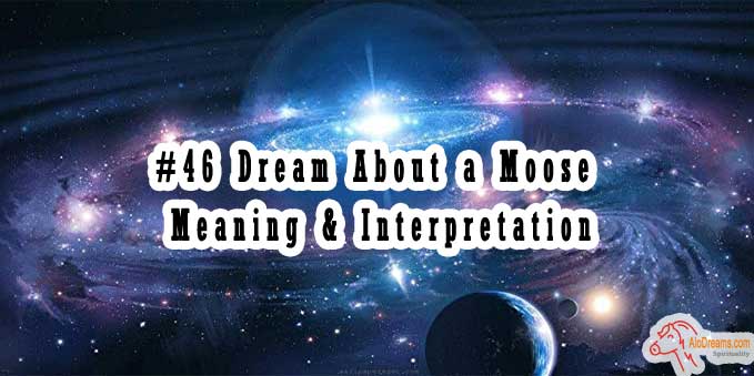 #46 Dream About a Moose - Meaning & Interpretation