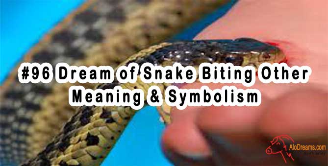 #96 Dream of Snake Biting Others - Meaning & Symbolism