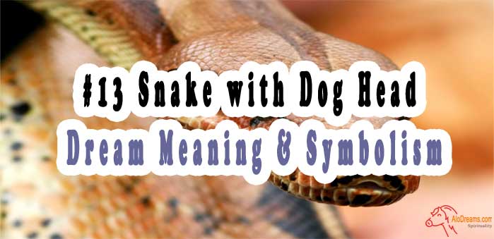 #13 Snake with Dog Head - Dream Meaning & Symbolism