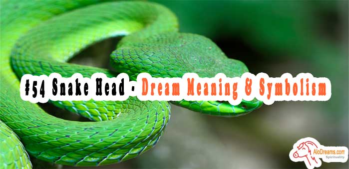 54-snake-head-dream-meaning-symbolism