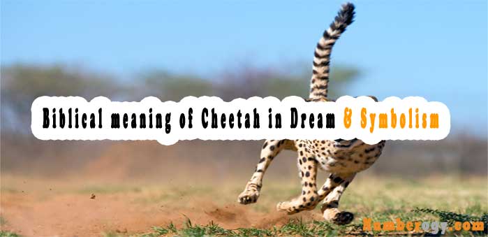 #26 Biblical meaning of Cheetah in Dream & Symbolism