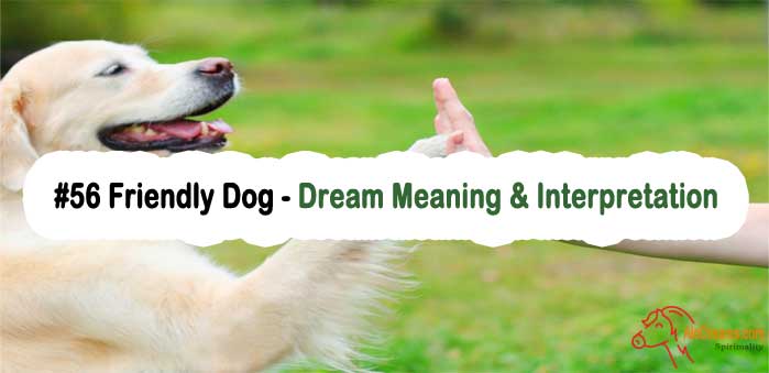 56-friendly-dog-dream-meaning-interpretation