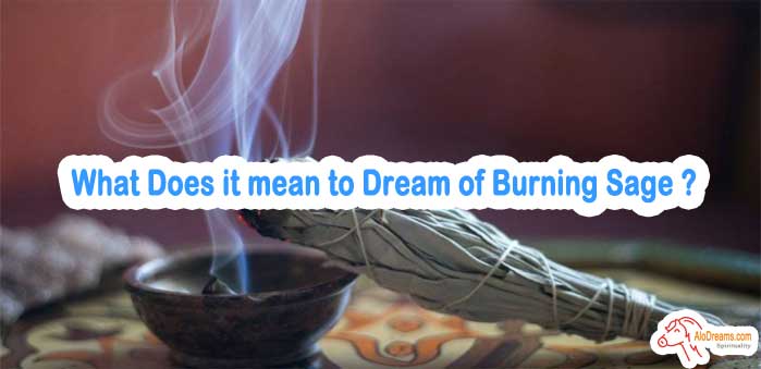 35-what-does-it-mean-to-dream-of-burning-sage